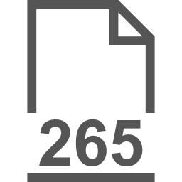 265 file icon