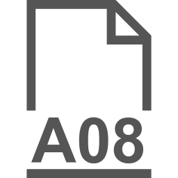 A08 file icon