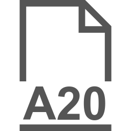 A20 file icon
