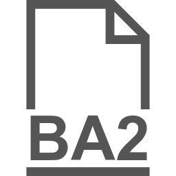 BA2 file icon