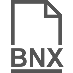 BNX file icon