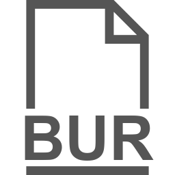 BUR file icon
