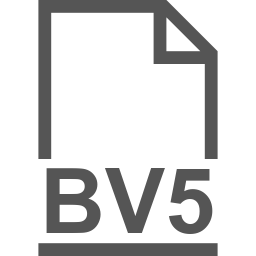 BV5 file icon