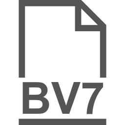BV7 file icon