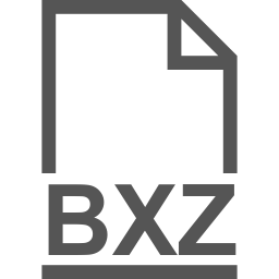 BXZ file icon