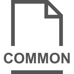 COMMON file icon