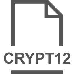 CRYPT12 file icon