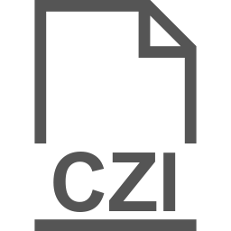 CZI file icon
