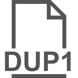 DUP1 file icon