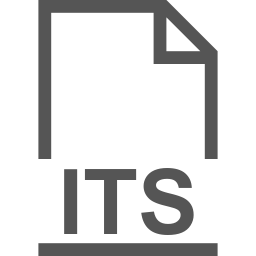 ITS file icon