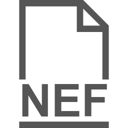 NEF file icon