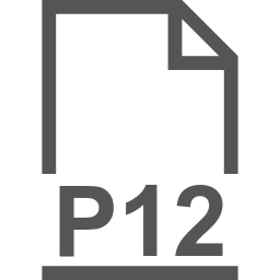 P12 file icon