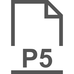 P5 file icon