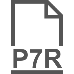 P7R file icon