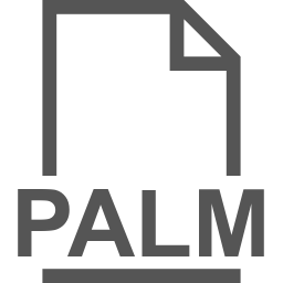 PALM file icon