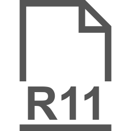R11 file icon