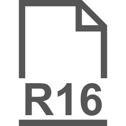 R16 file icon