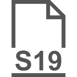 S19 file icon