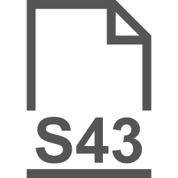 S43 file icon