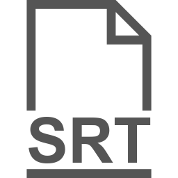 SRT file icon