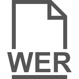 WER file icon