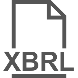 XBRL file icon