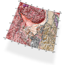 Didger software icon