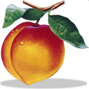 Peachtree Complete Accounting software icon